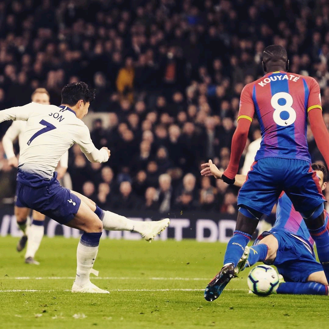 这些忠实的 这些忠实的