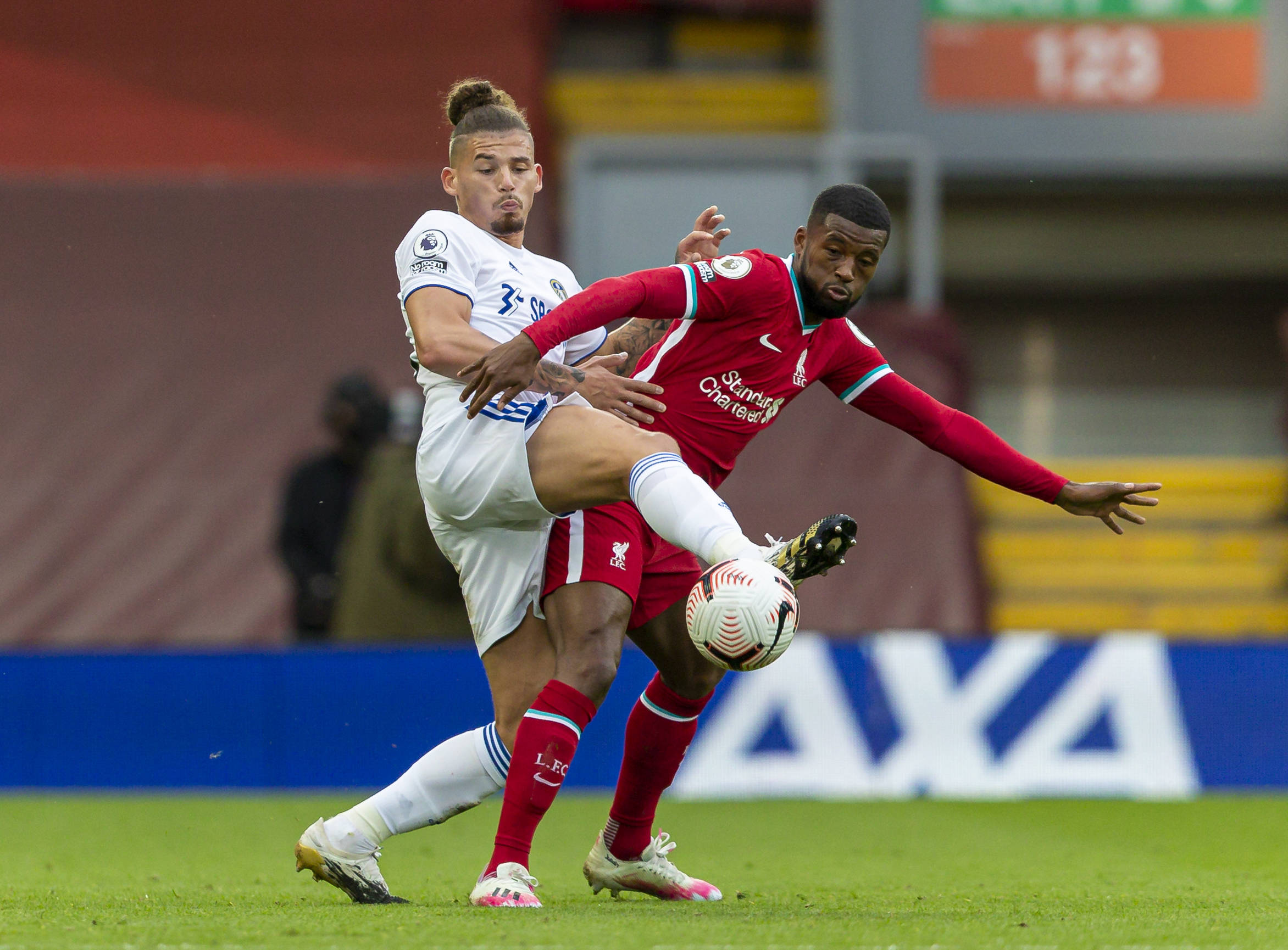 入了新的能 入了新的能